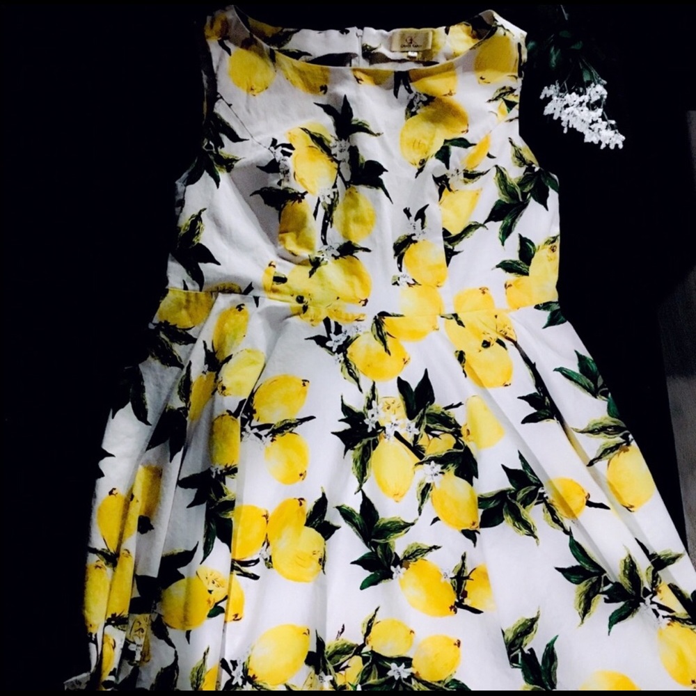 Grace Karin Plus Size Lemon swing Dress!